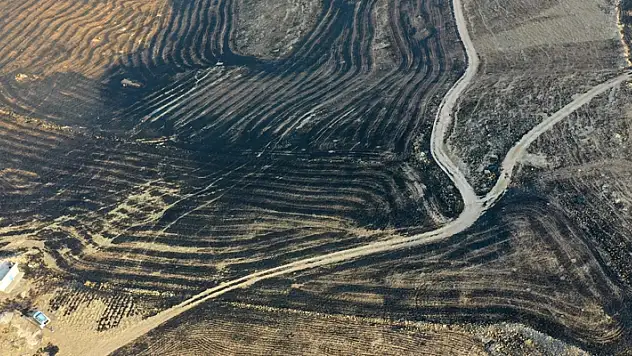 Diyarbakır ve Mardin arasında anız yangını: 5 ölü

