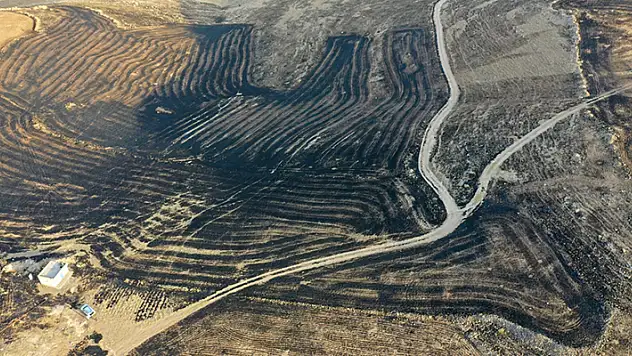 Diyarbakır ve Mardin arasında anız yangını: 5 ölü!
