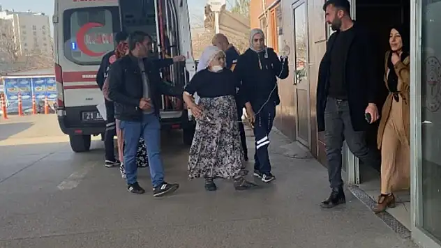 Diyarbakır'da 72 yaşındaki kadın besledikleri köpeğin saldırısına uğradı

