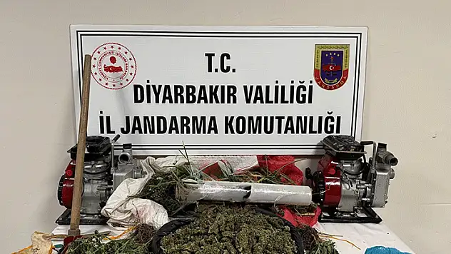 Diyarbakır'da kenevir tarlasını damlama sistemiyle suladılar