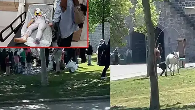 Diyarbakır'da piknik yapanların arasına at daldı: 1'i çocuk, 2 yaralı
