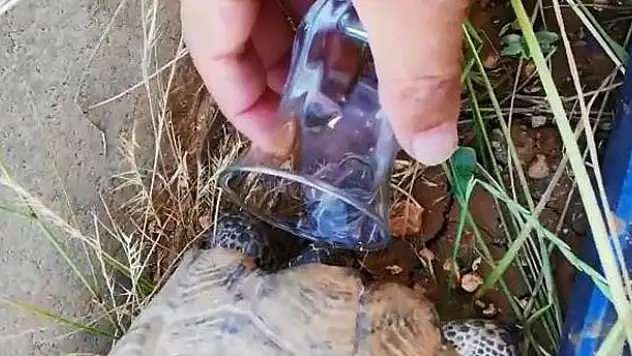 Diyarbakırlı vatandaştan alkışlanacak hareket!