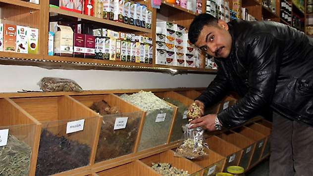 Doğal antibiyotiğe yoğun ilgi! Kapış kapış gidiyor