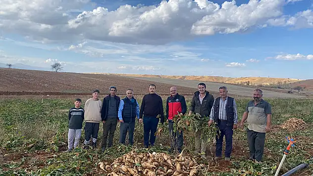 Doğanhisar'da pancar hasadı devam ediyor