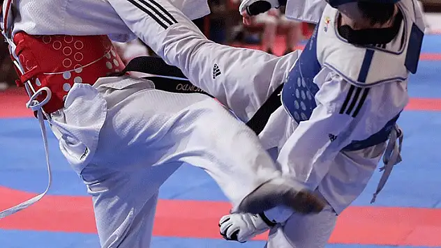 Doğanhisar'da taekwondo şöleni yapılacak