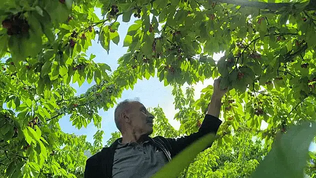 Doğayla iç içe lezzetli bir deneyim
