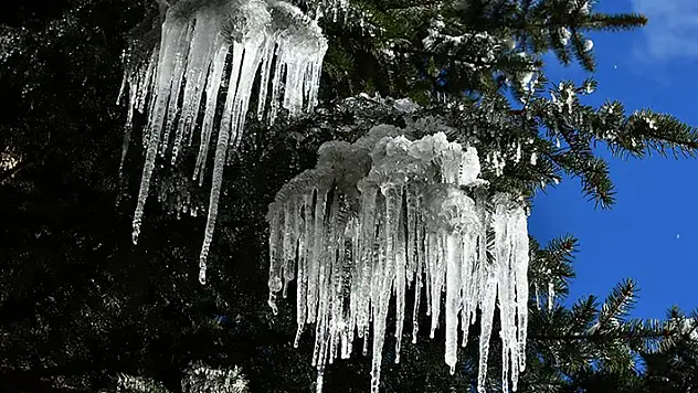 Doğu Anadolu'da göletler dondu, binalarda buz sarkıtı oluştu
