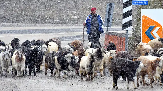 Doğu'daki bazı illerde kış tipiyle birlikte geldi!
