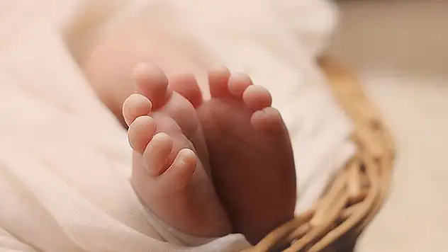 Doğum istatistikleri açıklandı