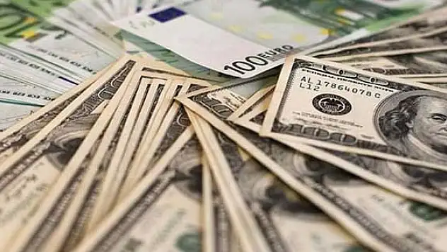 Dolar 1,13'ün altında