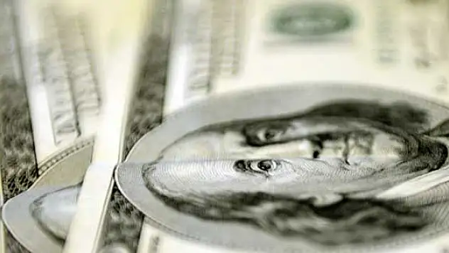 Dolar 2,45'i açtı
