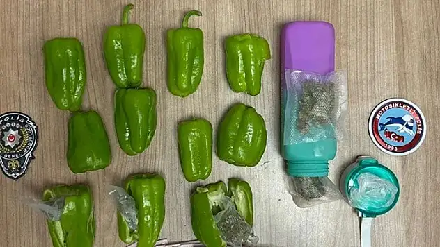 Dolmalık biberlerin içinden uyuşturucu çıktı
