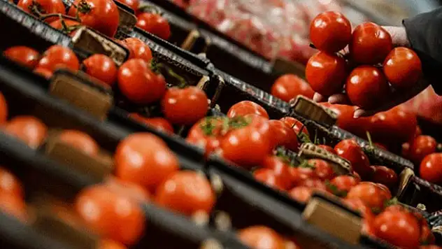 Domates fiyatlarını artıran sebep ortaya çıktı