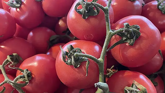 Domates ihracatına yönelik kısıtlama kaldırıldı
