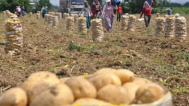 Domates ve patates fiyatları sabit tutulacak