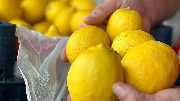 Domatesin fiyatı düştü, limonun arttı
