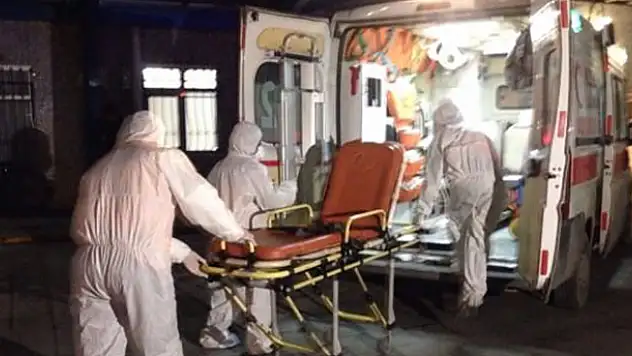 Domuz gribi paniği büyüyor