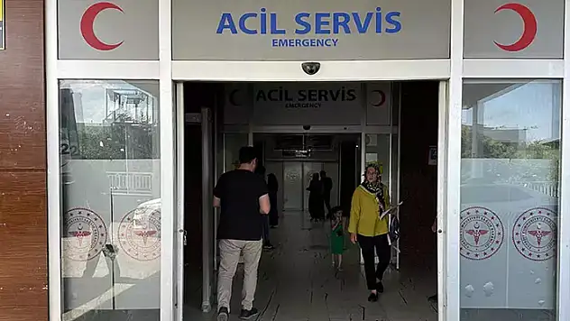 Domuz sanarak kayınçocusunu öldürdü!