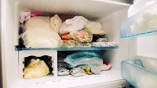 Dondurucuya asla konulmaması gereken gıdalar...