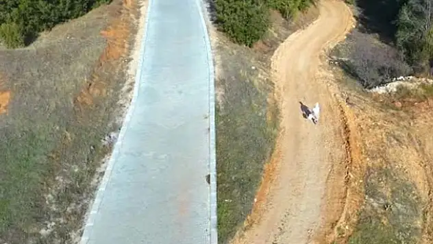 Drone'den kaçan yaşlı kadın sosyal medyayı salladı