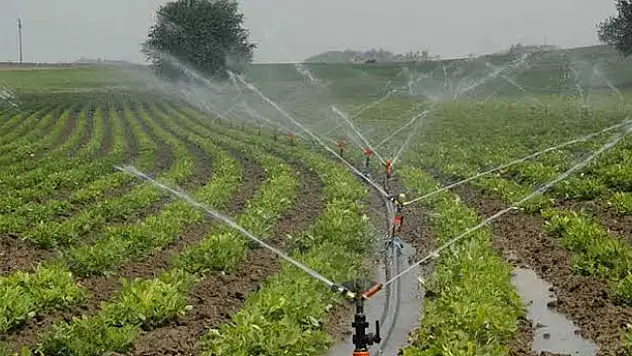 DSİ'den ülke ekonomisine 196 milyon liralık katkı