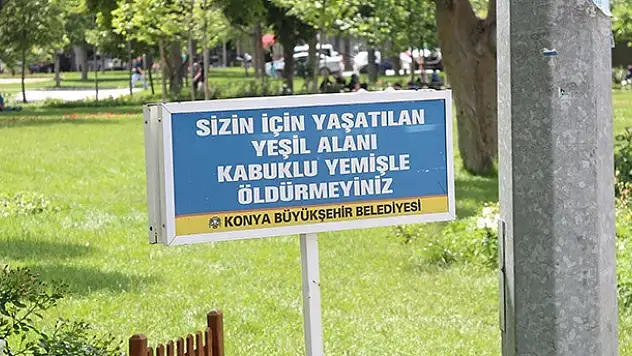 Dünya Çevre Haftası'na yakışmadı