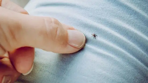 'Dünyada ilk' diyerek duyuruldu: KKKA aşısında sevindiren gelişme
