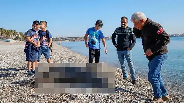 Dünyada sadece 700 tane vardı: Ölü bulundu!
