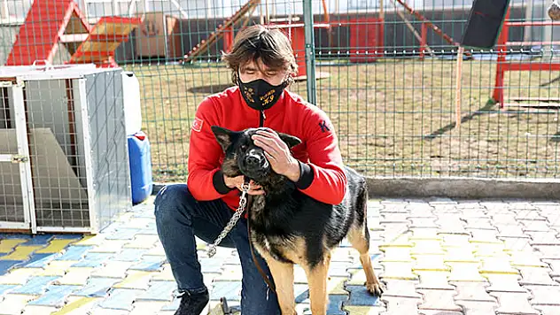 Duyarlı köpek eğitmeni, afetlerde görev yapacak 'hassas burunları' gönüllü yetiştiriyor