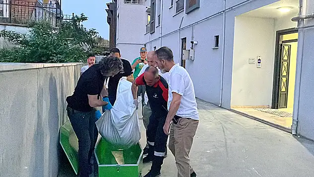 Düzce'de bir kadın aynı apartmanda oturduğu eski ev arkadaşı kadını tabancayla öldürdü
