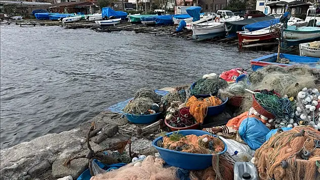 Düzce ve Bartın'da balıkçılar bu sezon av miktarında umduğunu bulamadı