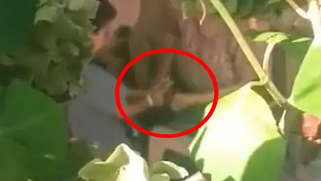 Düzce'de 6 yaşındaki çocuğa işkence baba ve babaanne gözaltında
