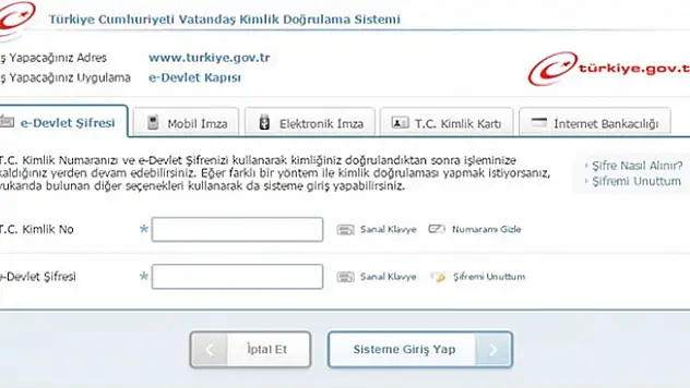 E-devlet'i en çok ne için kullanıyoruz?