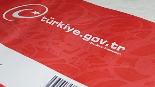 E-Devlet soyağacı sorgulama erişime açıldı ama...