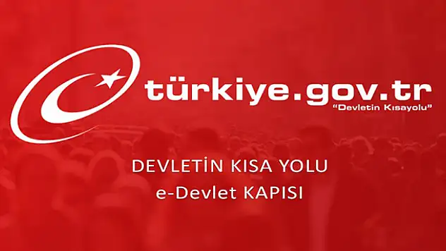 e-devlet uygulamasına gelen yeni hizmetler!