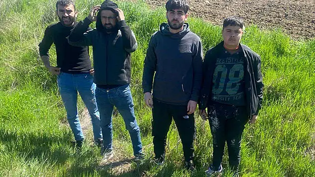 Edirne'de 4 kaçak göçmen yakalandı
