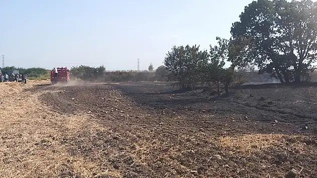 Edirne'de anız alanından ağaçlık bölgeye sıçrayan yangın söndürüldü
