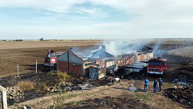 Edirne'de çiftlik yangınında, yaklaşık 80 tavuk öldü
