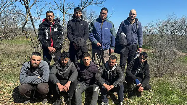 Edirne'de, Mısır uyruklu 9 kaçak göçmen ve 1 organizatör yakalandı
