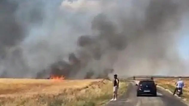 Edirne'deki yangında 38 ton buğday kül oldu
