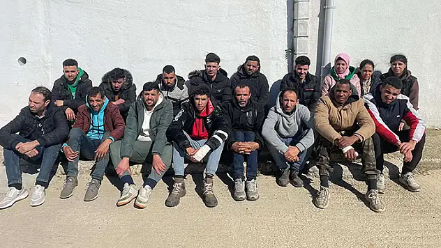 Edirne'de 17 kaçak göçmen yakalandı

