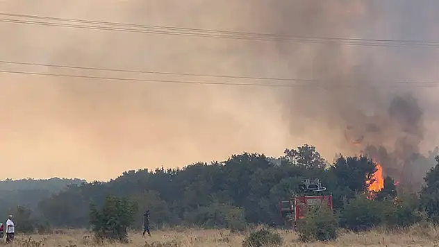 Edirne'de anızdan ormana sıçrayan yangın söndürüldü
