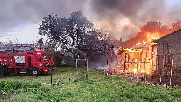 Edirne'de arı kovanlarının bulunduğu depo alev alev yandı