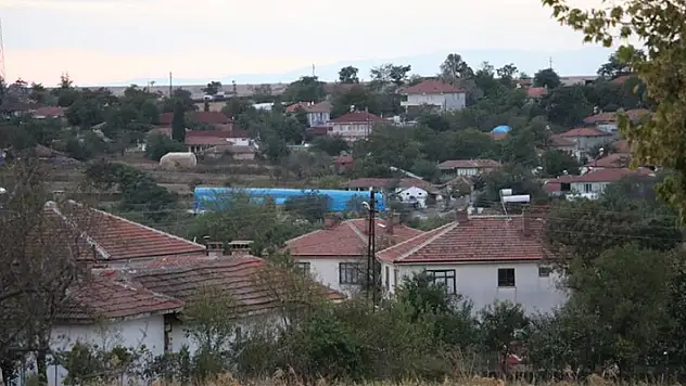 Edirne'de kırmızı alarm: 8 köyde 'mavi dil' karantinası başlatıldı
