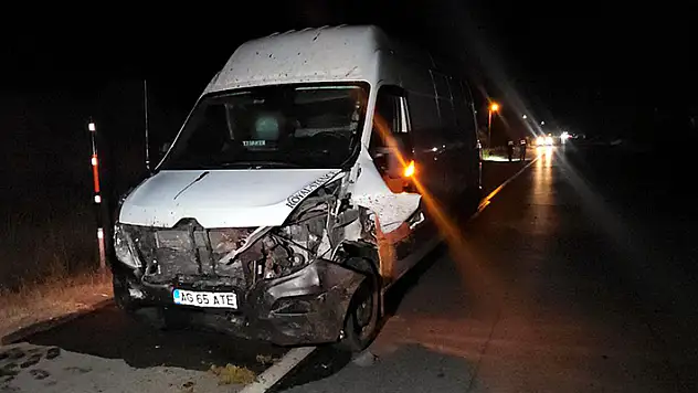 Edirne'de minibüsün çarptığı sürüdeki 16 koyun öldü
