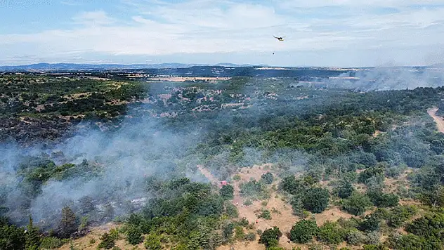 Edirne'de orman yangını
