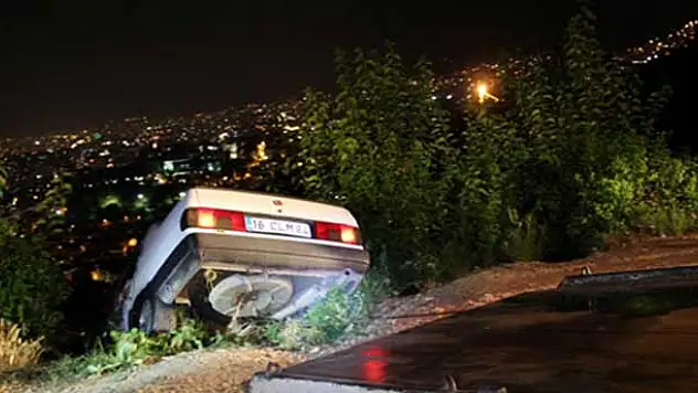 Eğer ağaç olmasaydı...