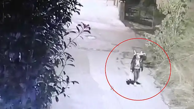 El arabası ile geldiği villadan çelik kasa çaldı o anlar kamerada
