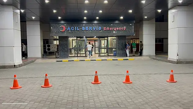 Elazığ'da bir kişi tartıştığı kız kardeşini sokakta tabancayla yaraladı

