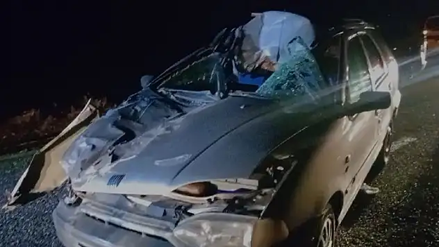 Elazığ'da otomobilin çarptığı inek öldü, 3 kişi yaralandı
